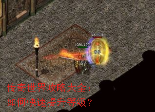 传奇世界攻略大全:如何快速提升等级? 传奇世界攻略大全:如何快速提升等级?