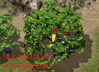 道士与法师对决,如何先破防制胜? 道士与法师对决,如何先破防制胜?