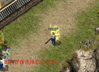 如何正确选择职业组合? 如何正确选择职业组合?