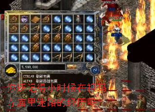 你还记得小时候在祖玛寺庙里迷路的经历吗? 你还记得小时候在祖玛寺庙里迷路的经历吗?