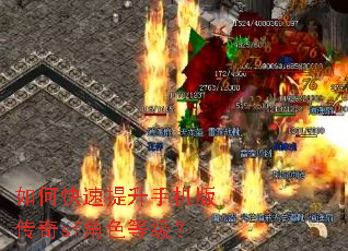 如何快速提升手机版传奇sf角色等级? 如何快速提升手机版传奇sf角色等级?