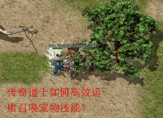 传奇道士如何高效运用召唤宠物技能? 传奇道士如何高效运用召唤宠物技能?
