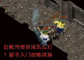 白蛇传奇妖域怎么打?新手入门攻略详解 白蛇传奇妖域怎么打?新手入门攻略详解