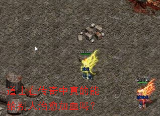 道士在传奇中真的能给别人治愈加血吗? 道士在传奇中真的能给别人治愈加血吗?