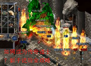 如何成为传奇道士?新手进阶全攻略 如何成为传奇道士?新手进阶全攻略