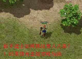 新手道士如何挑战兽人古墓?1.85英雄合击版攻略指南 新手道士如何挑战兽人古墓?1.85英雄合击版攻略指南