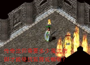 传奇法师需要多少魔法防御才能硬抗狐狸或蜘蛛? 传奇法师需要多少魔法防御才能硬抗狐狸或蜘蛛?