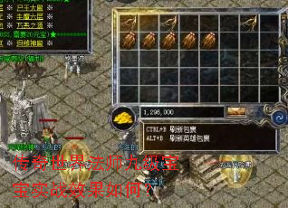 传奇世界法师九级宝宝实战效果如何? 传奇世界法师九级宝宝实战效果如何?