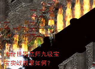 传奇世界法师九级宝宝实战效果如何? 传奇世界法师九级宝宝实战效果如何?
