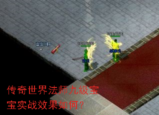 传奇世界法师九级宝宝实战效果如何? 传奇世界法师九级宝宝实战效果如何?