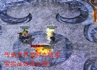传奇世界法师九级宝宝实战效果如何? 传奇世界法师九级宝宝实战效果如何?