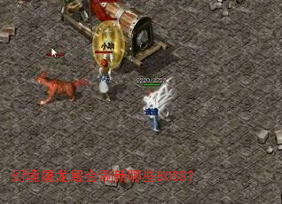幻境屠龙殿会刷新哪些BOSS? 幻境屠龙殿会刷新哪些BOSS?