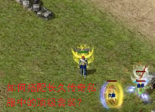 ��δ��䳤�ô���˽���еĶ�����װ��