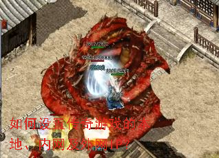 ������ô�����Ϸ�ı��ء�����������IP��