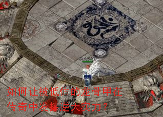 如何让被低估的龙骨甲在传奇中发挥逆天实力? 如何让被低估的龙骨甲在传奇中发挥逆天实力?