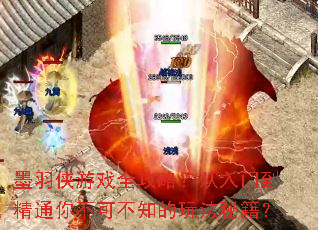 墨羽侠游戏全攻略?从入门到精通你不可不知的玩法秘籍? 墨羽侠游戏全攻略?从入门到精通你不可不知的玩法秘籍?