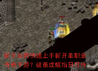 新手如何快速上手新开单职业传奇手游?破茧成蝶指日可待 新手如何快速上手新开单职业传奇手游?破茧成蝶指日可待