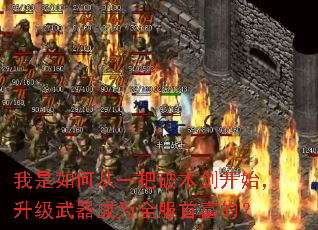 我是如何从一把破木剑开始,升级武器成为全服首富的? 我是如何从一把破木剑开始,升级武器成为全服首富的?