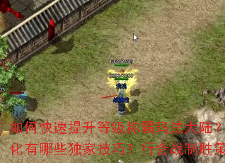 如何快速提升等级称霸玛法大陆?装备获取与强化有哪些独家技巧?行会战制胜策略是什么? 如何快速提升等级称霸玛法大陆?装备获取与强化有哪些独家技巧?行会战制胜策略是什么?