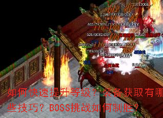 ��ο��������ȼ���װ����ȡ����Щ���ɣ�BOSS��ս�����ʤ��