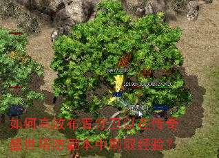 如何高效布置守卫以在传奇盛世塔防副本中刷取经验? 如何高效布置守卫以在传奇盛世塔防副本中刷取经验?