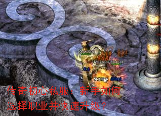 �������˽�����������ѡ��ְҵ������������