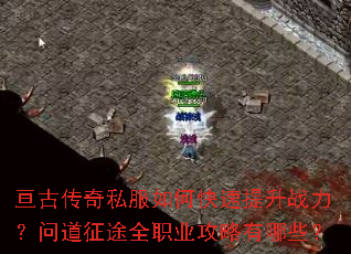 ب�Ŵ���˽����ο�������ս�����ʵ���;ȫְҵ��������Щ��