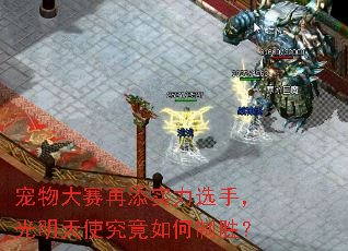 宠物大赛再添实力选手,光明天使究竟如何制胜? 宠物大赛再添实力选手,光明天使究竟如何制胜?