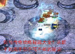 剑与传奇攻略秘籍大全?从新手到高手你不可不知的秘诀 剑与传奇攻略秘籍大全?从新手到高手你不可不知的秘诀