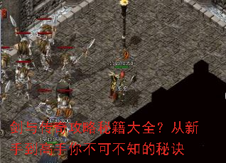 剑与传奇攻略秘籍大全?从新手到高手你不可不知的秘诀 剑与传奇攻略秘籍大全?从新手到高手你不可不知的秘诀