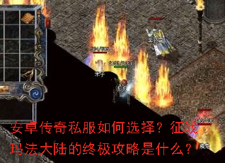 安卓传奇私服如何选择?征战玛法大陆的终极攻略是什么? 安卓传奇私服如何选择?征战玛法大陆的终极攻略是什么?