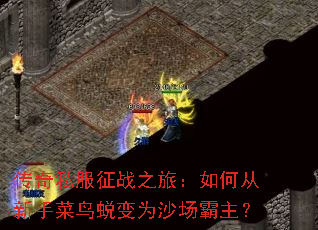 传奇私服征战之旅:如何从新手菜鸟蜕变为沙场霸主? 传奇私服征战之旅:如何从新手菜鸟蜕变为沙场霸主?
