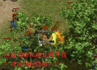 热血传奇私服如何寻找?独家揭秘隐藏入口 热血传奇私服如何寻找?独家揭秘隐藏入口