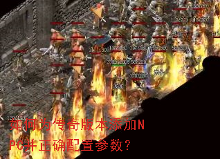 ���Ϊ����汾����NPC����ȷ���ò�����