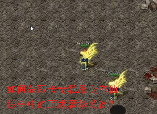 如何获取传奇私服变态仙踪林中的顶级奢华装备? 如何获取传奇私服变态仙踪林中的顶级奢华装备?
