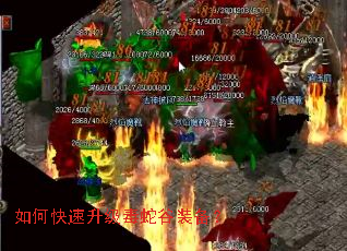 如何快速升级毒蛇谷装备? 如何快速升级毒蛇谷装备?