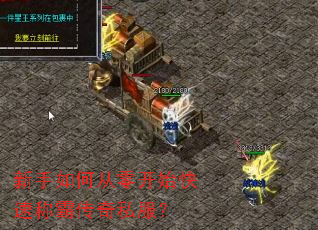新手如何从零开始快速称霸传奇私服? 新手如何从零开始快速称霸传奇私服?