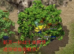 新开一秒战士如何快速突破练级瓶颈? 新开一秒战士如何快速突破练级瓶颈?