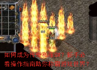 如何成为传奇私服GM?新手必看操作指南助你称霸游戏世界? 如何成为传奇私服GM?新手必看操作指南助你称霸游戏世界?