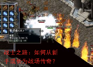 战士之路:如何从新手成长为战场传奇? 战士之路:如何从新手成长为战场传奇?