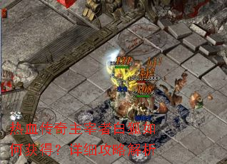 ��Ѫ���������߰׺���λ�ã���ϸ���Խ���