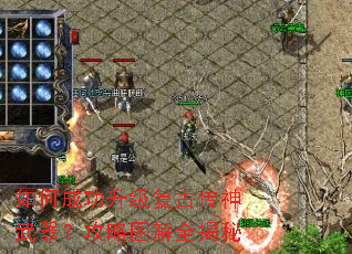 ��γɹ��������Ŵ�������������ͼ��ȫ����