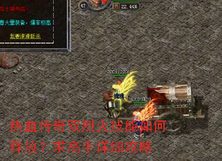 ��Ѫ����˫�һ�������ͷţ��������ϸ����