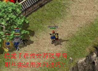 擒龙手在传奇游戏里有哪些实战用途和技巧? 擒龙手在传奇游戏里有哪些实战用途和技巧?