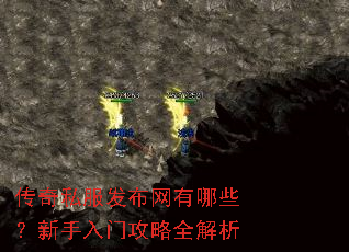 传奇私服发布网有哪些?新手入门攻略全解析 传奇私服发布网有哪些?新手入门攻略全解析