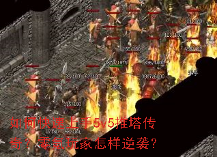 ��ο�������5v5�������棿������������Ϯ��