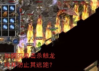�����Ч��ɱ�����񲢷�ֹ�����ܣ�