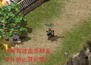 �����Ч��ɱ�����񲢷�ֹ�����ܣ�