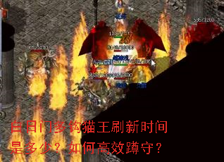 �����Ŷ๳è��ˢ��ʱ���Ƕ��٣���θ�Ч���أ�