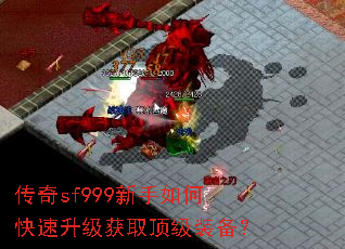 ����sf999������ο���������ȡ����װ����